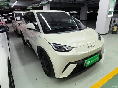 2024 BYD Seagull Glory Edition 305km Vitality Edition, фото 4, лот 11565269