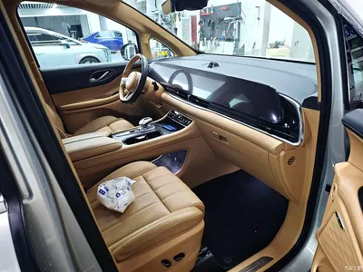 2022 Voyah Auto Voyah Dreamer Zero Carbon Edition Home 475km, фото 4, лот 11169784