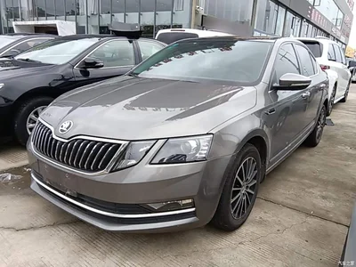 2019 Škoda Octavia TSI230 DSG Zhixing Luxury Edition China VI, фото 1, лот 10348070