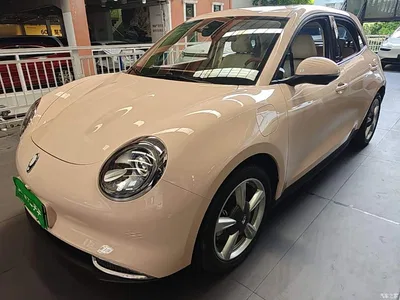 2023 Ora Good Cat 401km Standard Range Honor Edition (LFP), фото 2, лот 10330799