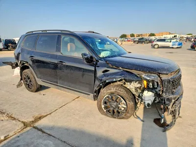 2024 KIA TELLURIDE SX X-PRO, фото 4, лот 10777958