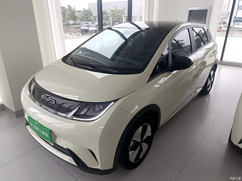 2023 BYD Dolphin 420km Fashion Edition, фото 1, лот 11221196