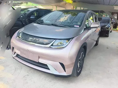 2021 BYD Dolphin Model 405km Fashion Edition, фото 1, лот 10251960
