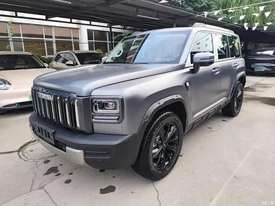 2025 Haval Menglong 2.0T 4WD Ultra, фото 2, лот 10448446