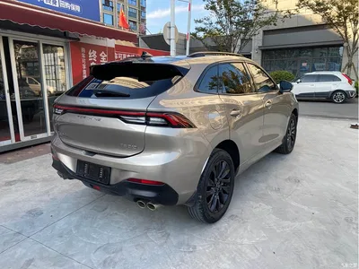 2021 Dongfeng Fengxing T5 EVO 1.5TD DCT Diamond Edition, фото 3, лот 11149872