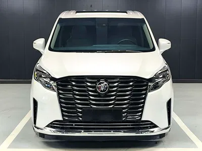 2021 Buick GL8 ES Landlord 653T Premium, фото 2, лот 10242826