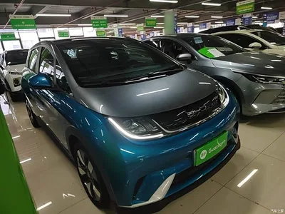2021 BYD Dolphin 401km Knight Edition, фото 4, лот 10264410