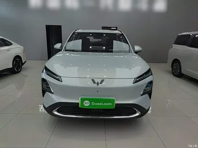 2024 Wuling Motors Wuling Xingguang S 130km Flagship Model, фото 3, лот 10836017
