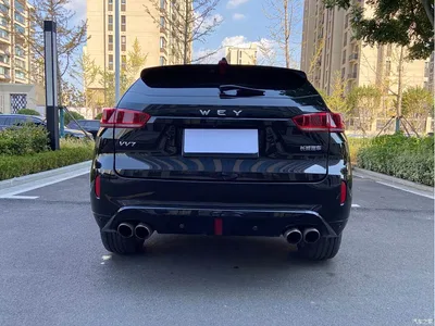 2017 WEY VV7 2.0T Flagship, фото 4, лот 11088245