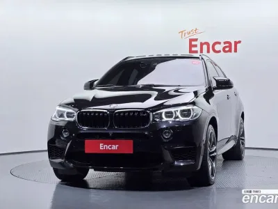 2019 BMW X6M 4.4, фото 3, лот 10081845