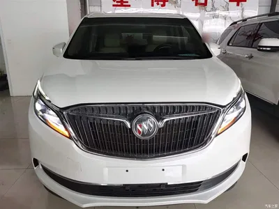 2017 Buick GL8 ES 28T Premium China V, фото 3, лот 10262486