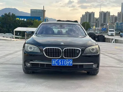 2009 BMW 7 Series 750Li Luxury, фото 3, лот 10458621