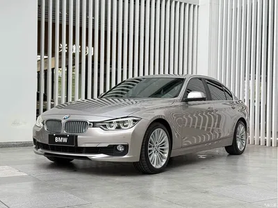 2018 BMW 3 Series 320Li Fashion Style, фото 1, лот 10662070