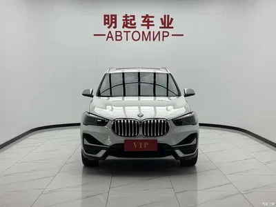 2022 BMW X1 sDrive20Li Fashion, фото 2, лот 10408616