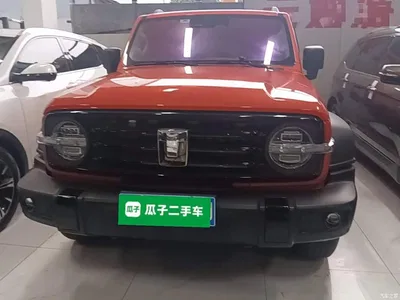 2023 Tank 300 Off-Road Edition 2.0T Conqueror, фото 3, лот 10345537