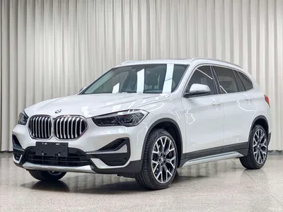 2021 BMW X1 xDrive25Li Exclusive, фото 1, лот 10401098