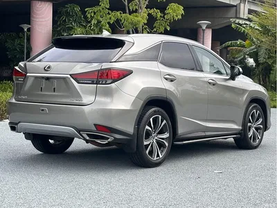 2020 Lexus RX Facelift 300 AWD Elegance Edition, фото 4, лот 10314478