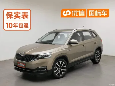 2021 Škoda Kamiq 1.5L Auto Comfort Edition, фото 1, лот 10349320