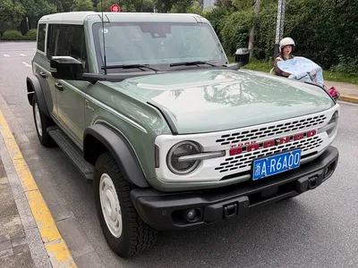 2025 Ford Bronco 2.3T Retro Special Edition, фото 2, лот 10295986