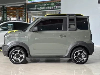 2024 Geely Galaxy Panda 200km Panda Knight, фото 4, лот 11081758