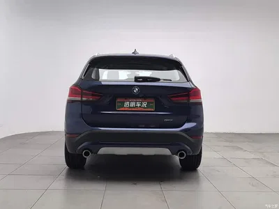 2020 BMW X1 sDrive20Li Premium Edition, фото 4, лот 11568654