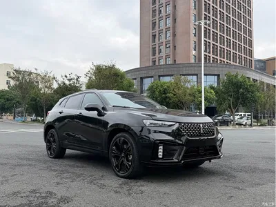 2020 WEY VV7 Model 2.0T Flagship, фото 1, лот 10452224