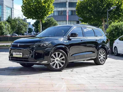 2024 AITO Wenjie AITO M7 1.5T Smart Drive RWD Pro 5-seater, фото 1, лот 10278369