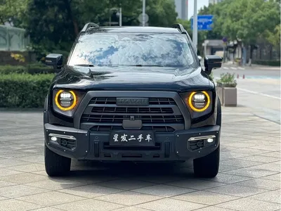 2022 Haval Big Dog 2.0T DCT AWD Howling Celestial Dog Edition, фото 2, лот 10361518