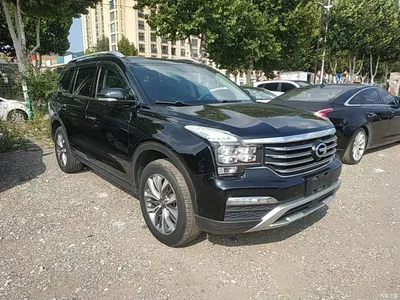 2017 GAC Trumpchi Trumpchi GS8 320T AWD Luxury Smart Connect (7-Seater), фото 4, лот 11195069