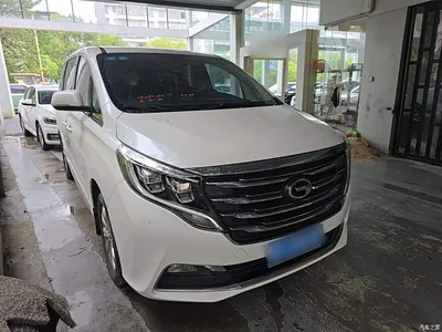 2018 GAC Trumpchi Trumpchi M8 320T Exclusive Edition, фото 4, лот 11513296