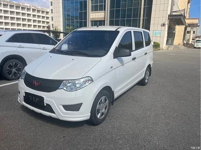 2020 Wuling Motors Wuling Hongguang 1.2L S Basic China VI LSI, фото 1, лот 10367819