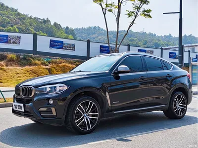 2017 BMW X6 xDrive35i Leading, фото 1, лот 10469380