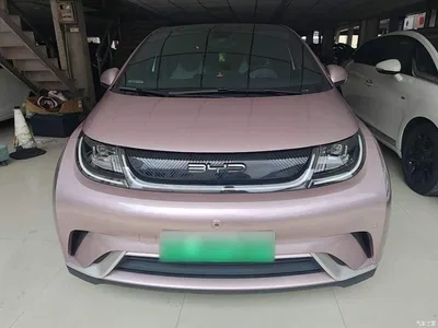 2023 BYD Dolphin 420km Fashion Edition, фото 3, лот 10593997