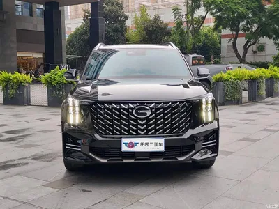 2025 GAC Trumpchi Trumpchi GS8 Pilot Series 2.0TGDI 2WD Luxury Edition 5-seater, фото 2, лот 10893579
