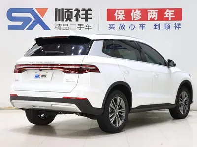 2019 BYD Song Pro 1.5T Automatic Luxury, фото 4, лот 10275550