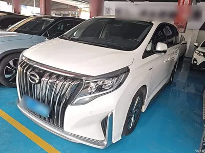 2021 GAC Trumpchi Trumpchi M8 Master Series 390T Ultimate Edition, фото 1, лот 10425061