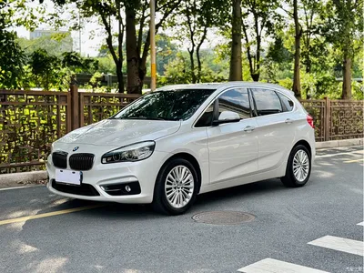 2014 BMW 2 Series Tourer (Import) 220i Luxury Design Package, фото 1, лот 10472456