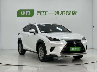 2020 Lexus NX 200 AWD F Sport China VI, фото 3, лот 10312651