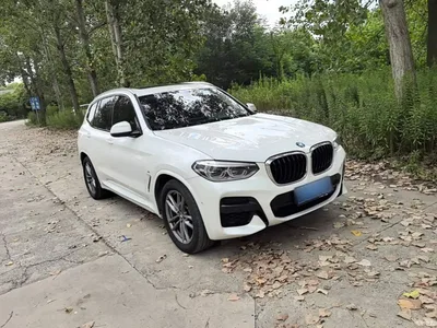 2020 BMW X3 xDrive28i M Sport Package, фото 4, лот 10462029