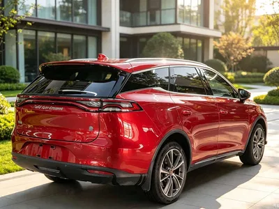 2020 BYD Tang New Energy DM 2.0T Dual-Motor AWD Premium 7-Seater China VI, фото 4, лот 10828324