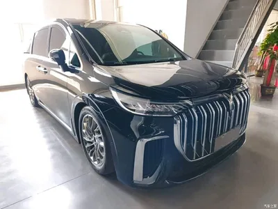 2024 Voyah Auto Voyah Dreamer PHEV Extended Range Flagship Edition, фото 4, лот 10598247