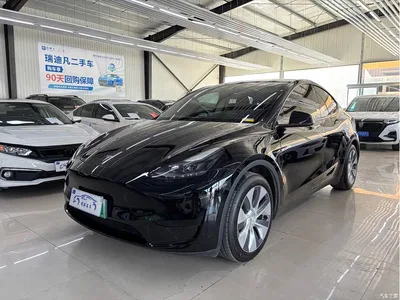 2023 Tesla Model Y Rear-Wheel Drive Edition, фото 1, лот 10455213