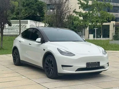 2022 Tesla Model Y Rear-Wheel Drive Version, фото 4, лот 10389816