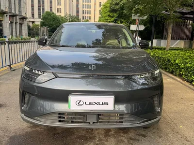 2023 Leapmotor C11 Pure Electric 500 Comfort Edition, фото 2, лот 10605193