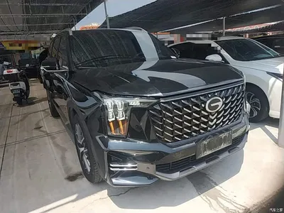 2024 GAC Trumpchi Trumpchi GS8 Navigator Series 2.0TGDI 2WD Luxury Smart Connect Edition, фото 3, лот 10425171
