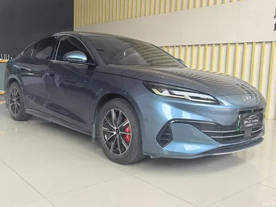 2024 BYD Seal 06 New Energy DM-i 120KM Premium, фото 3, лот 10273429