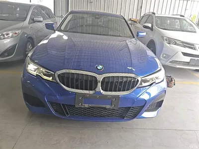 2020 BMW 3 Series Facelift 325Li M Sport Package, фото 3, лот 10458083