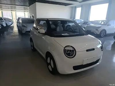 2025 Changan Qiyuan Changan Lumin 205km Fragrant Infusion Edition, фото 4, лот 10389073