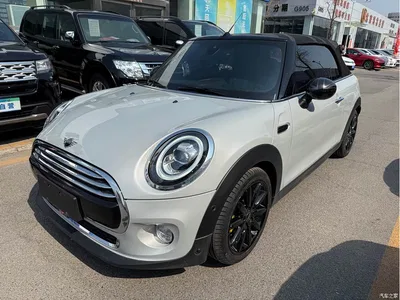 2019 MINI MINI Model 1.5T COOPER CABRIO Artist, фото 3, лот 10351294
