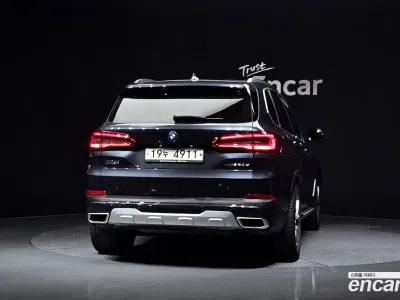 2019 BMW X5 xDrive 30d xLine, фото 4, лот 10130963